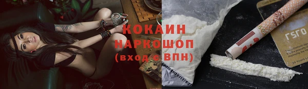стаф Абинск