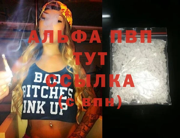 стаф Абинск