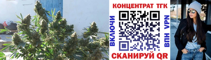 Дистиллят ТГК концентрат  shop клад  Элиста 